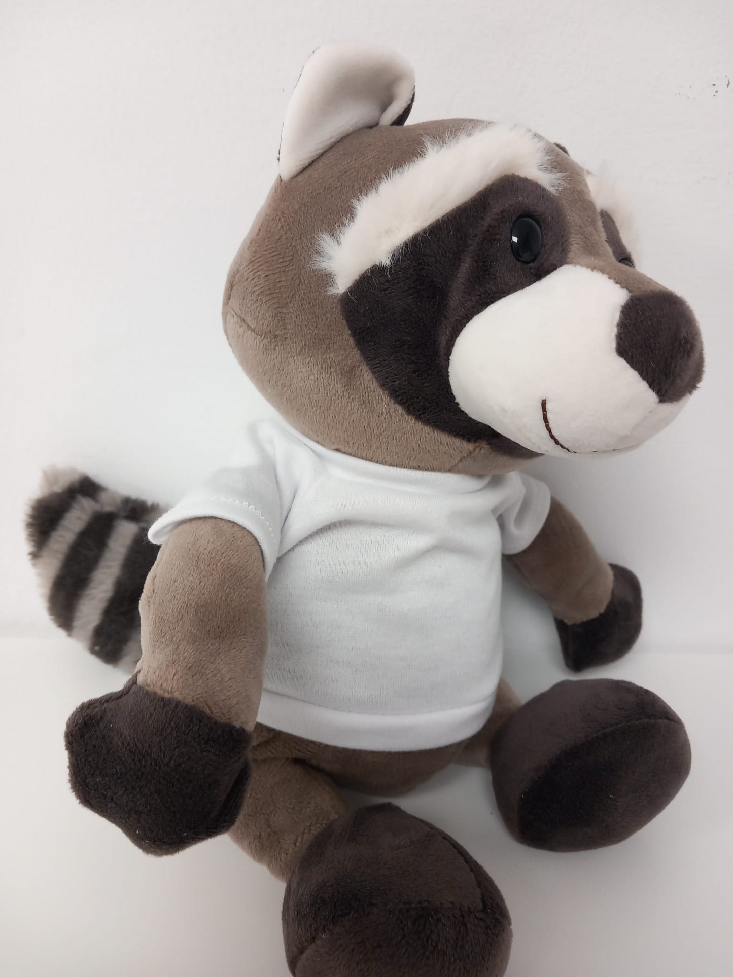 Raton laveur MIA pour animaux de compagnie