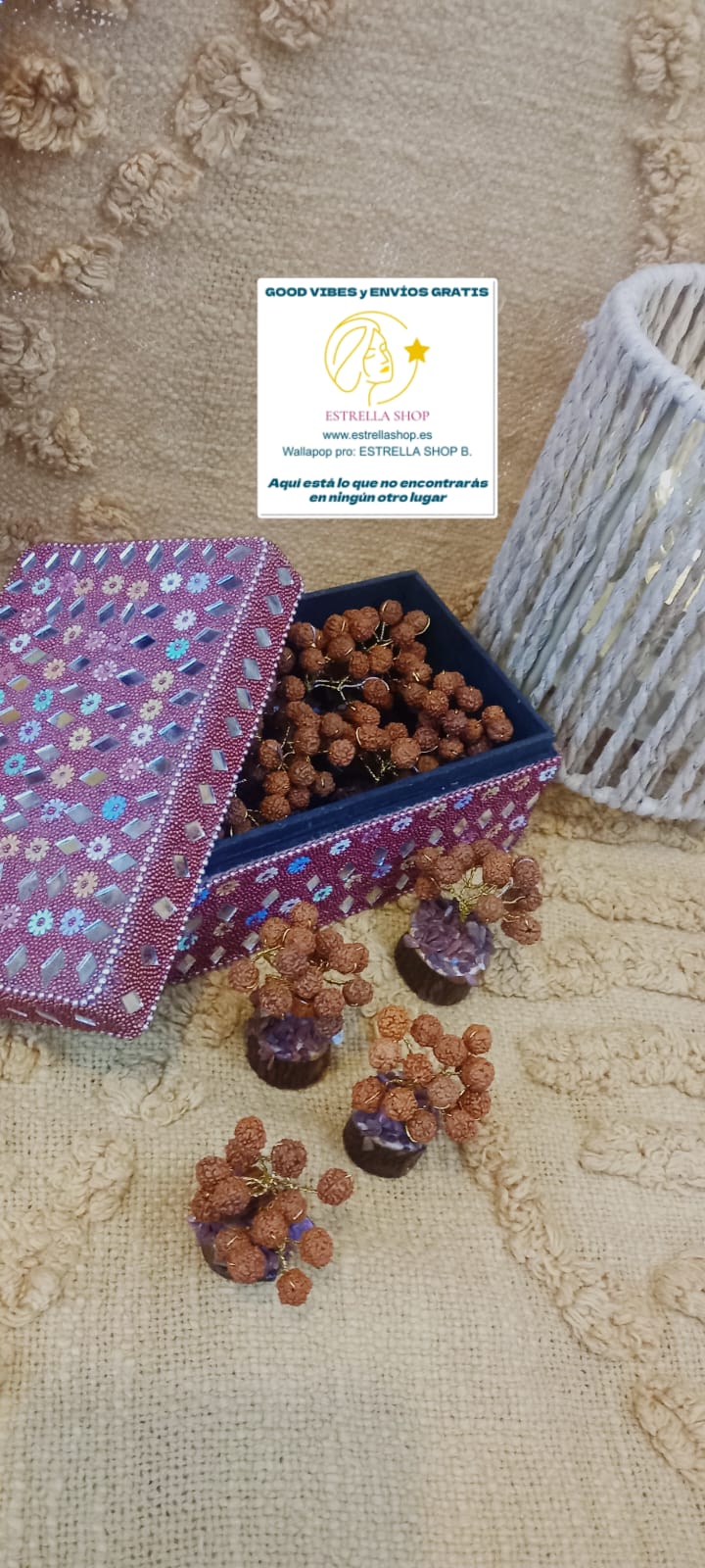 2 arbolitos de Rudraskha, bellaza artesanal y árboles de gran importancia en las culturas hinduísta y budista,destacando propiedades muy positivas. 2 unidades y es Envío gratis sin pedido mínimo.