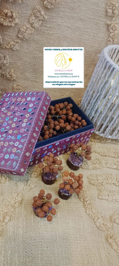 2 arbolitos de Rudraskha, bellaza artesanal y árboles de gran importancia en las culturas hinduísta y budista,destacando propiedades muy positivas. 2 unidades y es Envío gratis sin pedido mínimo.
