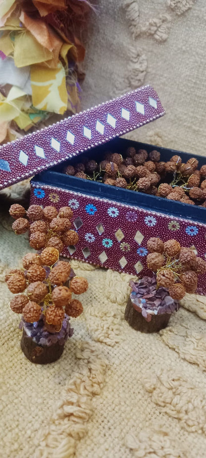 2 árboles de rudraksha. Estos árboles de rudraksha son una pieza decorativa única, capaz de transformar cualquier espacio con su magnetismo y belleza artesanal. Es un árbol de gran importancia en la cultura hindú, conocido por su belleza mística y sus semillas sagradas. Este árbol crece a partir de las lágrimas de Kalagni Rudra durante la meditación, produciendo así las cuentas de Rudraksha. Históricamente, se menciona que estas cuentas son valiosas en la cultura hinduísta y budista, y desde el punto de vis