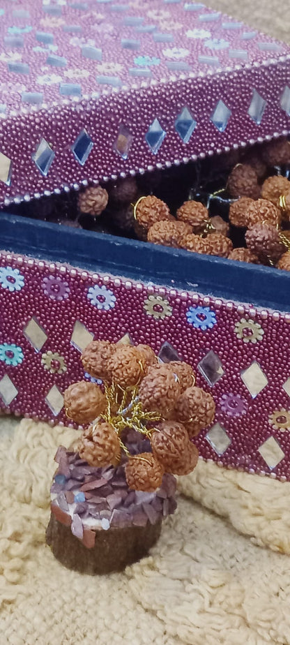 2 arbolitos de Rudraskha, bellaza artesanal y árboles de gran importancia en las culturas hinduísta y budista,destacando propiedades muy positivas. 2 unidades y es Envío gratis sin pedido mínimo.